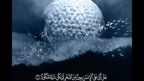 ياسر الزيلعي سورة الإنسان