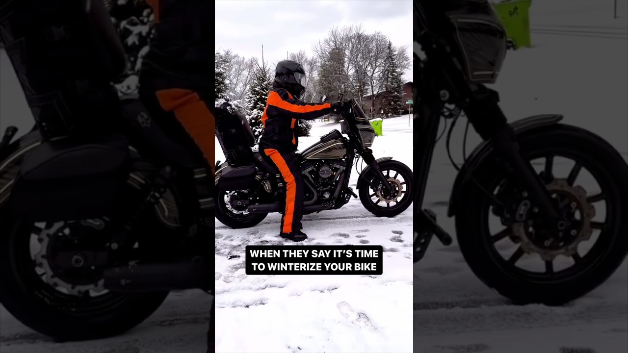 Холод — это дар ⛓️