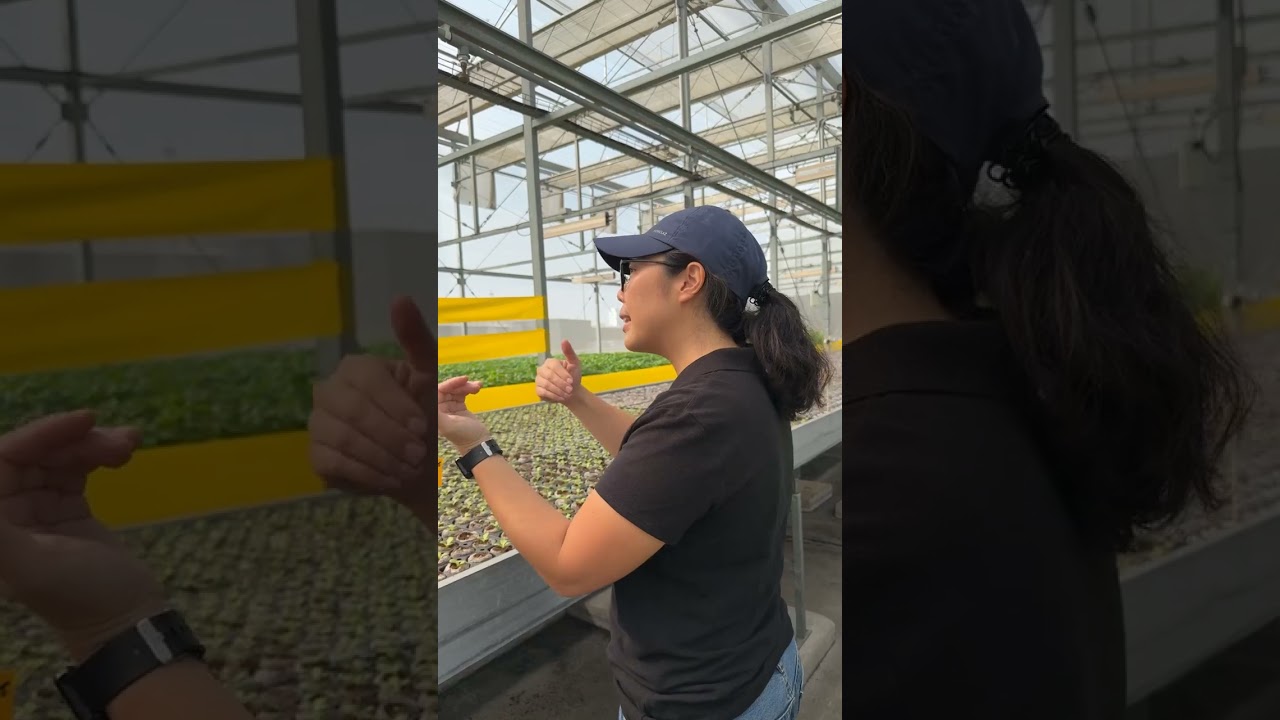 *ATM: YORME STUDIES SINGAPORE ROOFTOP URBAN FARMING | MAYOR ISKO MORENO - Jan. 26, 2026 Part 2