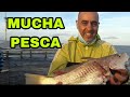 PESCA EN EL MUELLE - La Lucila del mar - San Bernardo - santa Teresita.