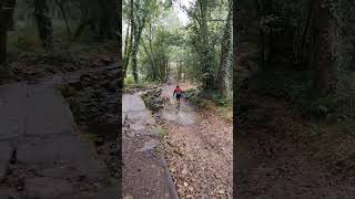 En algún lugar de Galicia