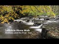 An Autumn Photo Walk - Bowlees and the River Tees 2023