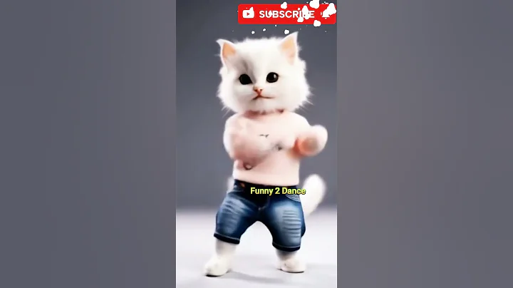 Video 11433871: cats kittens cutecat catlife, kitten cutecat funnycatvideos, cat kitten cutecat funny, kitten cute funnycatvideos