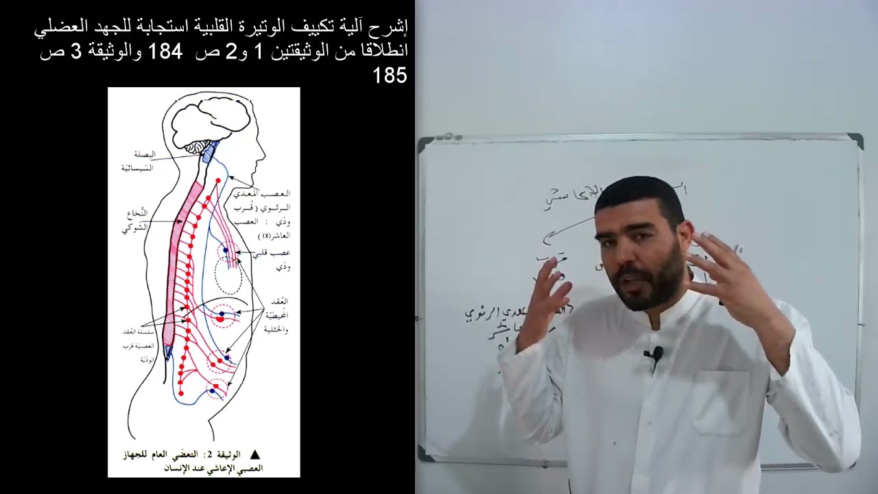 أولى علوم دور النظام العصبي في إعادة التوازن الوظيفي للعضوية (الجزء الثالث)