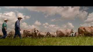 What Makes a Beef Loving Texan?