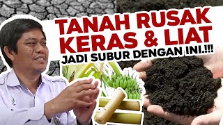 CUKUP BAHAN DISEKITAR KITA SAJA.!!! Pulihkan Tanah Rusak, Keras dan Liat Jadi Gembur Subur Kembali.