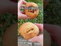 オフィス街の名店クセつよパン屋