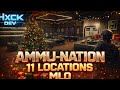 FREE AMMU-NATION MLO PACK 🔥 11 LOCATIONS! BEST FiveM Gun Stores  fivem mlo map 