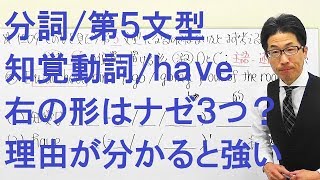 【高校英語】1209分詞/第５文型/補語の形が試験に出る/have/知覚動詞