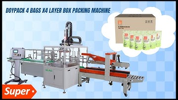 Fully Automatic Stand Up Sachet Case Packer Machine Line