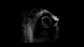 Maebi - The Lobotomy Slowed Edited