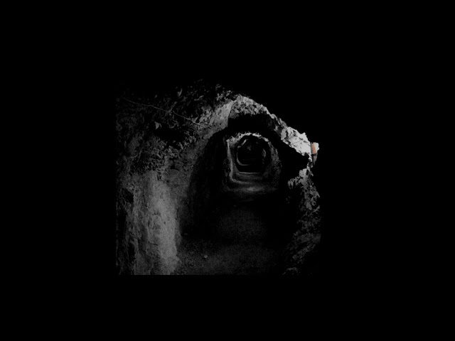 maebi - the lobotomy (slowed + edited)