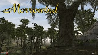 Morrowind #2 | To Balmora!