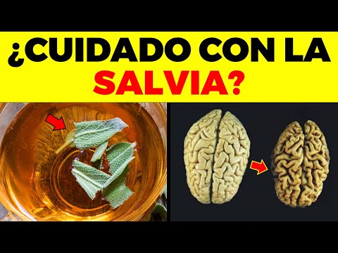 La Guía de las Vitaminas