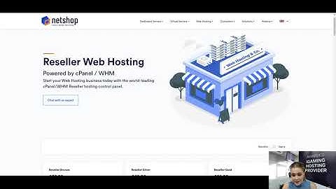 Reseller Web Hosting - Benefits and Opportunities