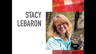 How to Turn your Passion for Cats into Action w/ Fundraising | Stacy LeBaron | 2021 Fundraising Day