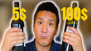 CHEAP vs. EXPENSIVE Red Wine Blind Taste Test