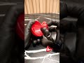 3D Print Timelapse: Pokéball (Bambu Lab P2S Combo)