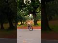 🚀WHEELIE ⚡,,,,,,,#viral #bikelife #mtb #viral #trending #stunt #youtube #cycle #stuntbike #instagram