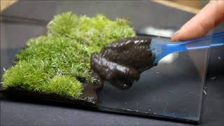 Moss Valley Terrarium | How to make a moss wall.