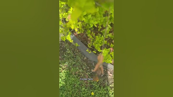 The way he knew he was in trouble 😂