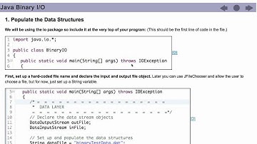 Advanced I/O (input/output) using Java