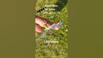 #القران_الكريم #تلاوه_خاشعه #قال رب انیی ظلمت نفسی #المصحف #foryou