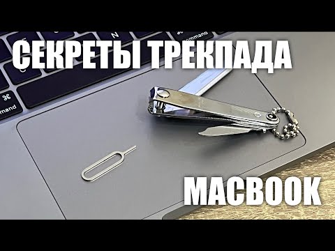 Видео: Как добавить, удалить и переупорядочить приложения на доке Apple Watch