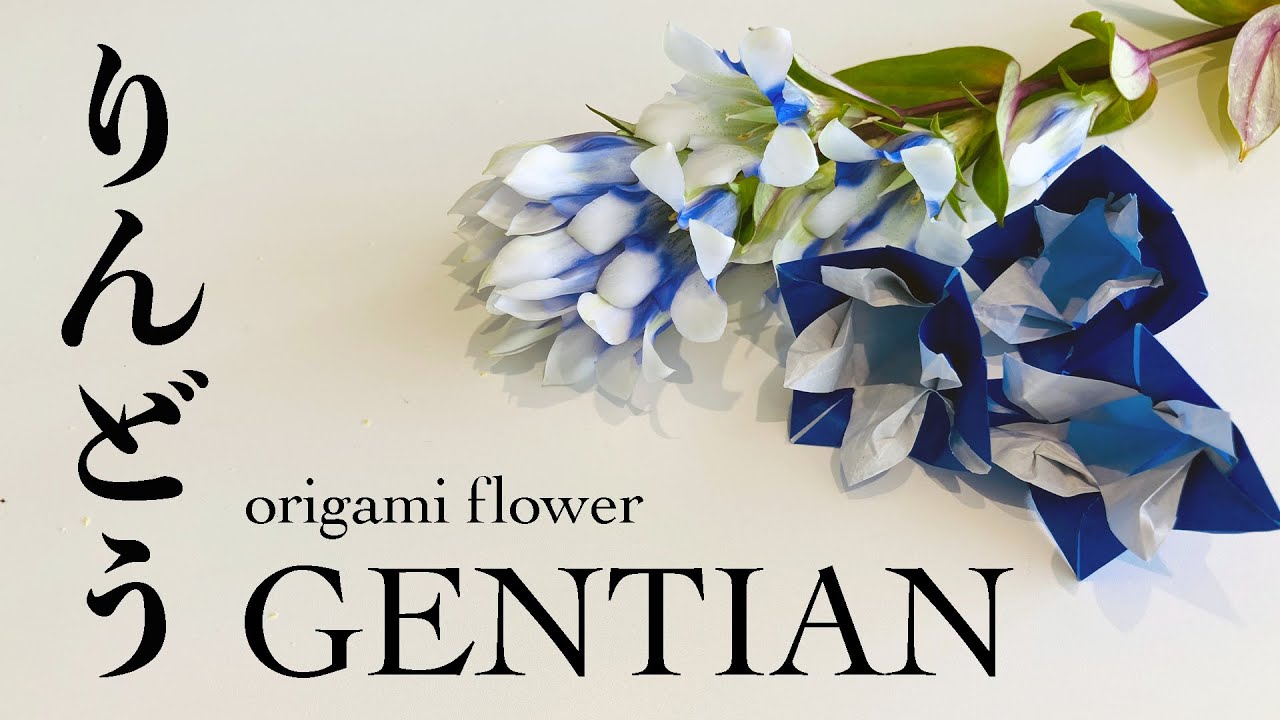 Origami Flower Gentian 折り紙 花 竜胆 りんどう Youtube