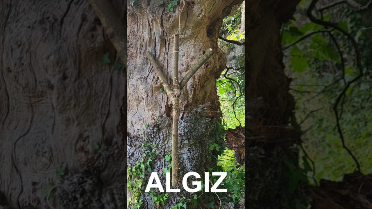 Algiz rune. #viking #runes