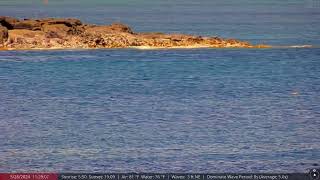 May 26, 2024: Dolphins spotted heading into Waimea Bay