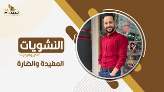 الكربوهيدرات (النشويات) المفيدة والضارة | إمنع الدهون ولا الكربوهيدرات ؟