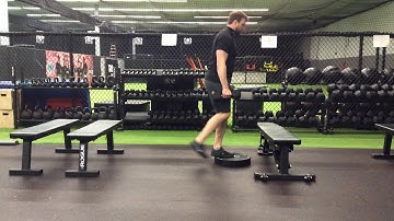 DB FFE Reverse Lunge