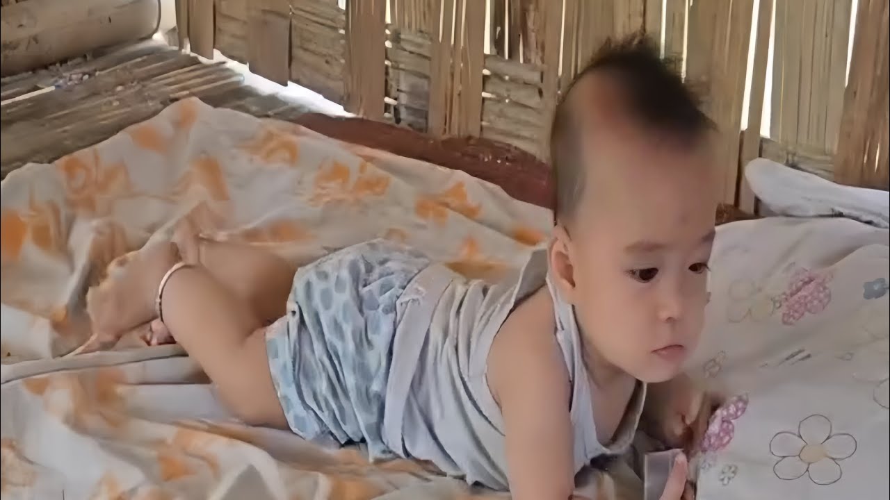 Hardworking Mother Picks Eggplants to Earn Money and Make a Safe Bamboo Home for Her Child