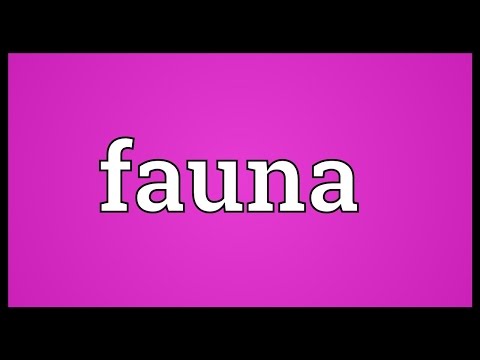 Fauna Meaning