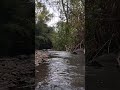 The Most Satisfying Water Flow Video Today