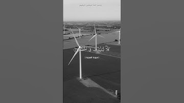 سورة الهمزة الشيخ محمد الفقيه