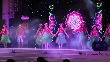 Vũ điệu Hawai, Lớp 4D, Trường TH Bắc Phan Thiết