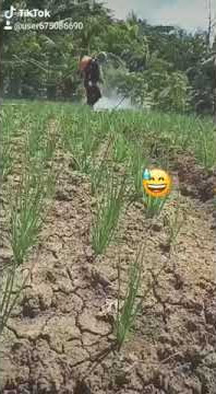 Story wa anak petani #lucu #kreatip #terbaruu #jaman now 🤣🤣