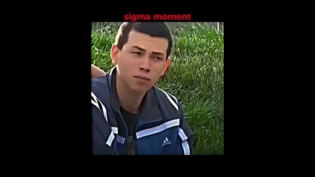 Epic trolling moments sigma vibes 