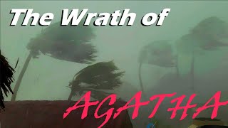 The Wrath Of Agatha 2022