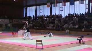 2006-Taekwon-do.demonstration