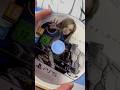ТЫ ОБЯЗАН ПРОЙТИ PRAGMATA НА PS5🤖 #shorts #ps5 #pragmata #stellarblade #capcom #прагмата #рек #реки