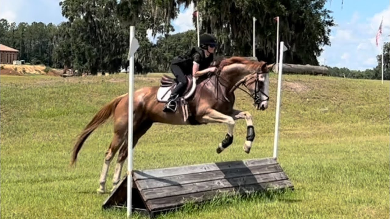 Flash X country schooling with AA catch rider - YouTube