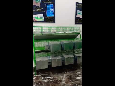 بطارية ارانب 14 عين مميزات وعيوب والعيوب اكتر من مصنع الشيخ لتصنيع بطاريات الارانب الدواجن