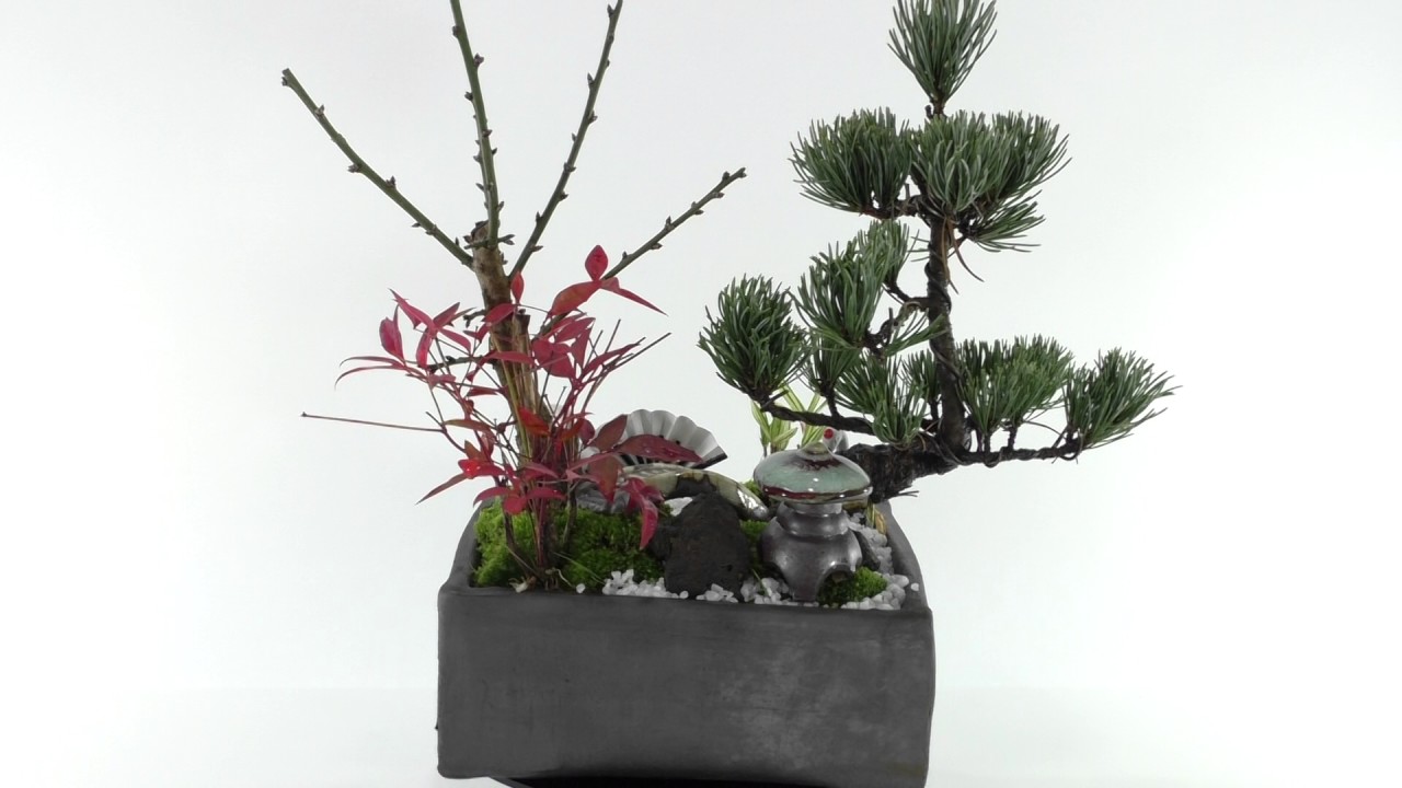 松竹梅の寄せ植え 5号サイズ お正月の盆栽を販売｜入門は盆栽妙 – 盆栽