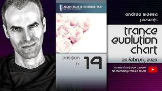 Trance Evolution Chart - 20 February 2020