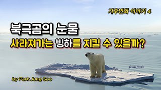 [기후위기 교육 4] 북극곰의 눈물: 사라져가는 빙하를 지킬 수 있을까?