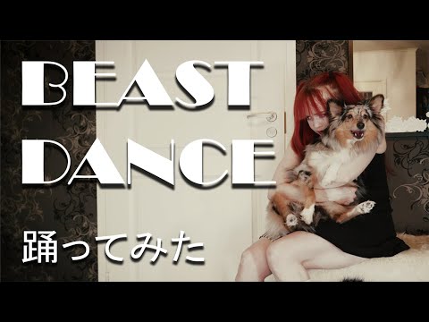 【Pipa】ビースト・ダンス  Beast Dance【踊ってみた】 #ChristmasCountdown #OdottemitaXmas #Day7