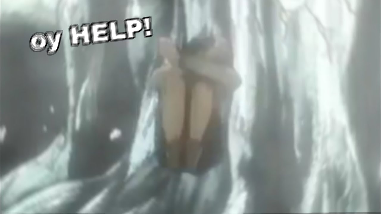 EREN FLIP but needs HELP!